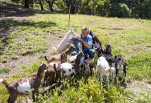 Celebrity Chef Curtis Stone’s Central Coast Field Trip