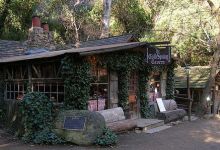 The 7th Annual Mountain Art & Garden Sale
