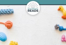 DIY and Donate: Dog Toys