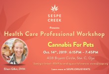 Cannabis For Pets