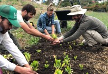 White Buffalo Land Trust Brings Regenerative Agriculture to Santa Barbara County