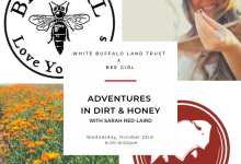 Adventures in Dirt & Honey