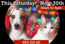 Super Saturday Holiday Animal Adoption Event