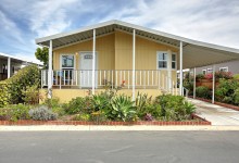 Sandpiper Beauty Sells in a Flash