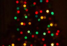 Tree Lighting Ceremony at Cachuma Lake