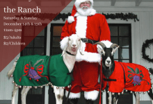 Holiday at the Ranch