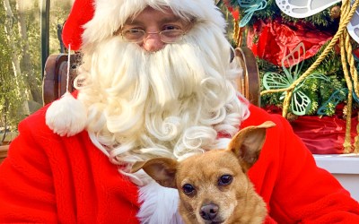 ’Tis the Season 2019