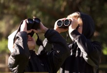 SB Audubon Event: 2020 Winter Bird Count 4 Kids