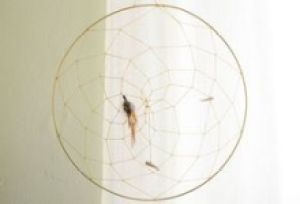 Dream Catcher Craft