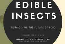 Edible Insects: Are They the Future of Food?