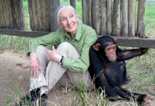 CANCELED – Dr. Jane Goodall – CANCELED