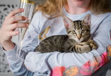 Galentine’s Day Party at Cat Therapy