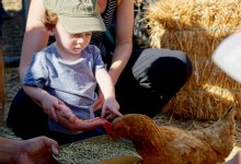 Sprouts Parent Toddler Program