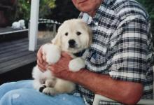 Tom Butera
