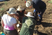 Site Assessment 101: Landscape Revisioning