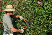CANCELED – Water Wise Garden Maintenance 101- CANCELED