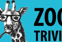 Zoo Trivia Night