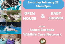Wildlife Open House and Baby Shower