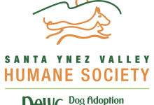 Wags and Wine Adoption Event