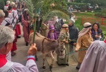 CANCELED – Palm Sunday with Chloe the Donkey – CANCELED