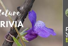 Earth Day Nature Trivia