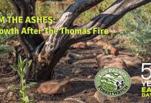 Earth Day Fire Ecology Presentation