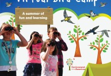 Virtual Bird Camp