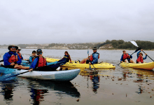 Kayaking the Goleta Coast with Kids