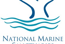 Sanctuary Advisory Council Virtual Meeting