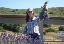 Meet Santa Barbara County’s Lavender Lady