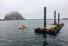 Offshore Wind Farm on the Horizon in Morro Bay?