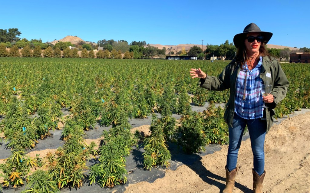 The Agro Women of Santa Barbara County