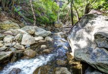 Nature Photography Workshop with Andreina Diaz