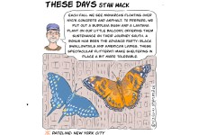 Color in the Canyon