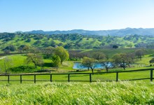 Alisos Canyon Wine Appellation Approved
