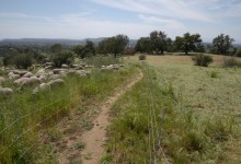 Campaign to Preserve Foothills Receives $1 Million Donation