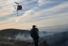 Edison Power Lines Caused Hollister Fire