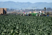 One Million Masks for California Field Workers