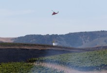 Rescuing California’s Hellish 2020 Wine Vintage