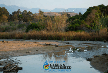 Goleta’s First Creek and Watershed Management Plan Adopted by City Council