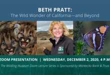 Beth Pratt: The Wild Wonder of California & Beyond