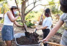 Big Learning on the Littlest Little Farm