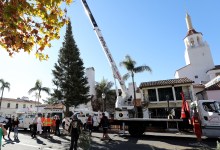 Downtown Santa Barbara Raises 45-Foot Christmas Tree on State Street