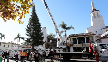 Downtown Santa Barbara Raises 45-Foot Christmas Tree on State Street