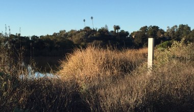 Mini Monolith Spotted in Santa Barbara Bird Sanctuary