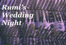 Rumi’s Wedding Night 2020