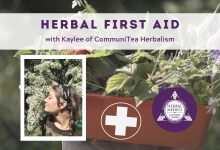 Virtual Event: Herbal First Aid, Build An Herbal First Aid Kit