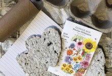 Family Friendly Workshop | Seed Paper Tutorial