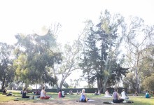 Yoga for EveryBody: Explore the Basics!