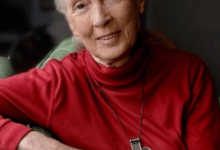 Online Event: Founder of The Jane Goodall Institute Jane Goodall